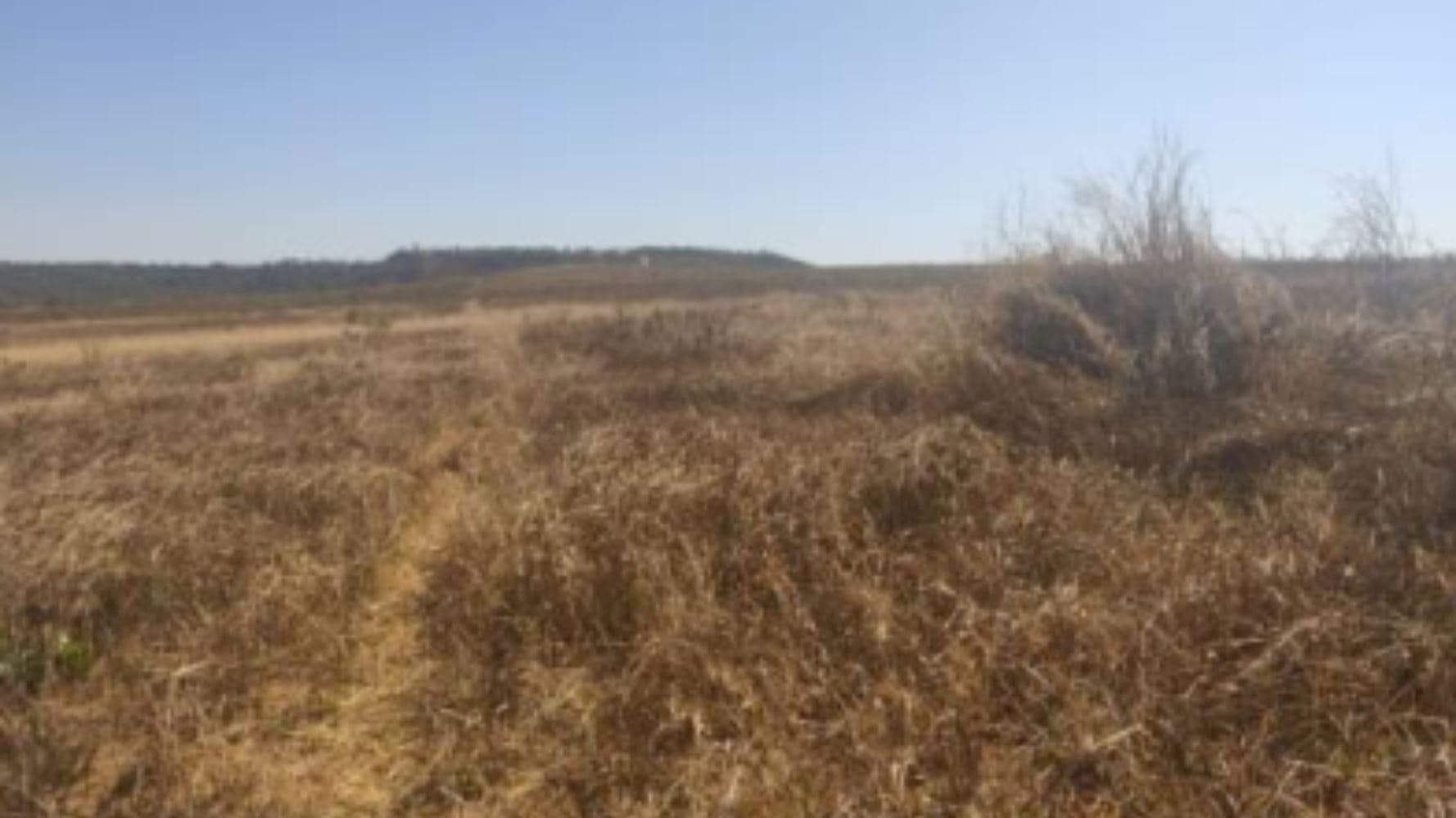 Foto 12 de 19: Terreno em leilão em Luziânia - GO, bairro Cidade Industrial de Luziânia — 08 Terrenos no Loteamento Cidade Industrial de Luziânia - Luziânia/GO