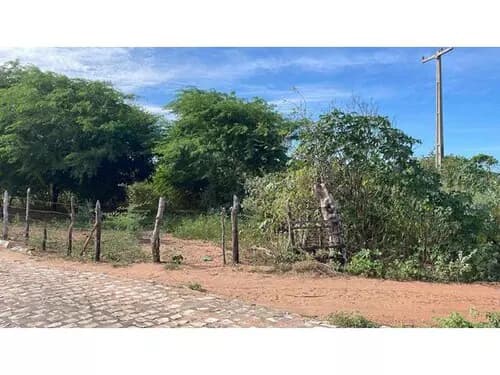Foto 1 de 14: Terreno em leilão em Areia Branca - RN — Terreno Desocupado - Mel De Baixo - Areia Branca/rn