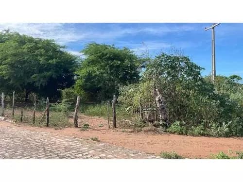 Foto 6 de 14: Terreno em leilão em Areia Branca - RN — Terreno Desocupado - Mel De Baixo - Areia Branca/rn