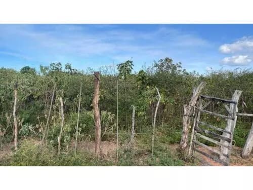 Foto 11 de 14: Terreno em leilão em Areia Branca - RN — Terreno Desocupado - Mel De Baixo - Areia Branca/rn
