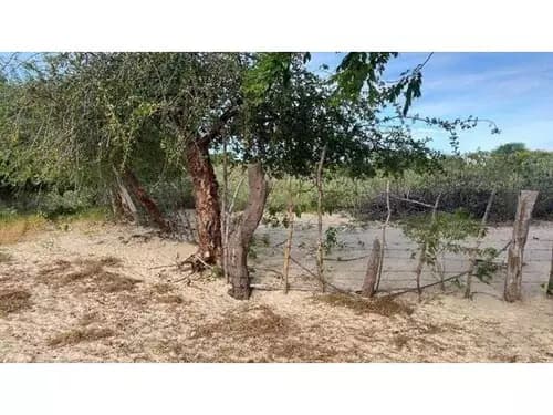 Foto 13 de 14: Terreno em leilão em Areia Branca - RN — Terreno Desocupado - Mel De Baixo - Areia Branca/rn
