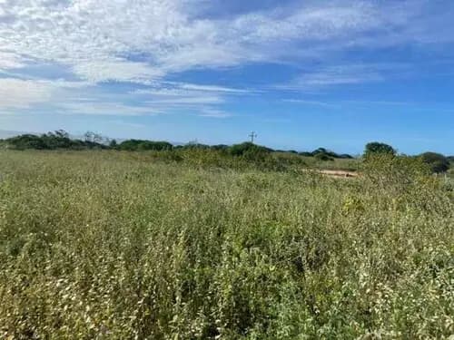 Foto 14 de 14: Terreno em leilão em Areia Branca - RN — Terreno Desocupado - Mel De Baixo - Areia Branca/rn