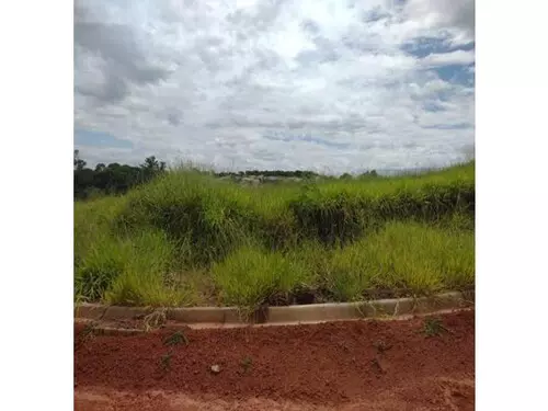 Foto 7 de 13: Terreno em leilão em Dracena - SP — Dracena/sp - Terreno - Desocupado