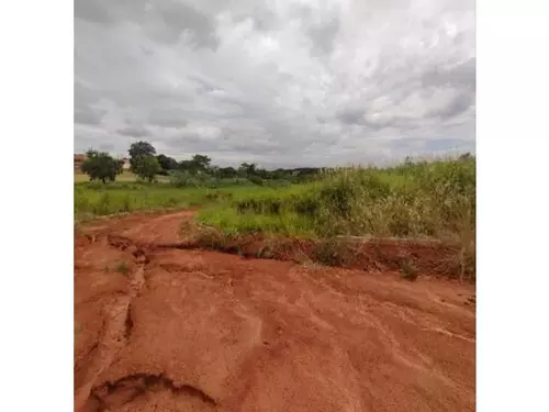 Foto 9 de 13: Terreno em leilão em Dracena - SP — Dracena/sp - Terreno - Desocupado