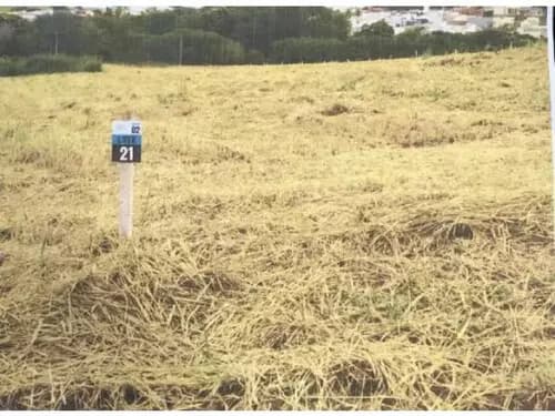 Foto 12 de 13: Terreno em leilão em Dracena - SP — Dracena/sp - Terreno - Desocupado