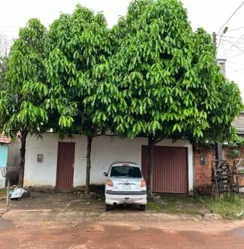 Foto 29 de 31: Casa em leilão em Barrolândia - TO — Casa - Centro - Barrolândia/to