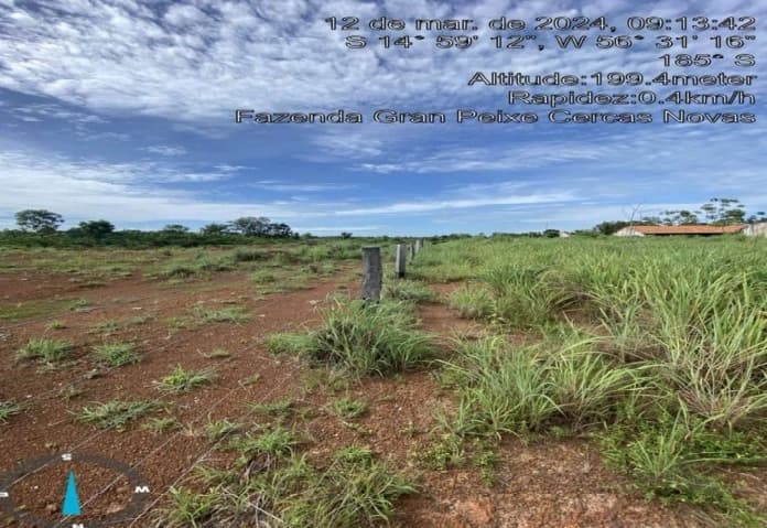 Foto 19 de 20: Area Rural em leilão em Rosário Oeste - MT — Fazenda, 148,93 Hectares, Raizama, Rosário Oeste/MT