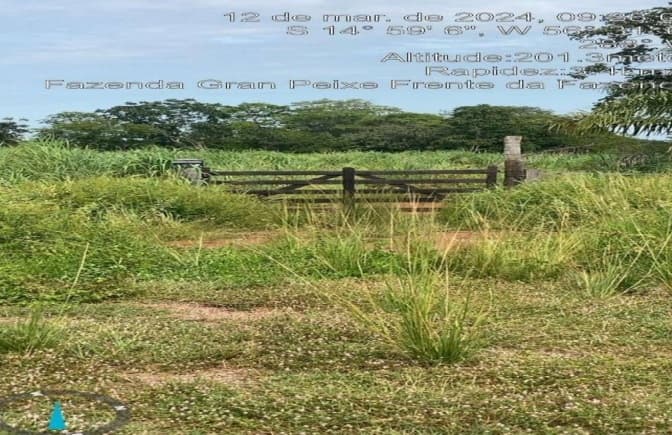 Foto 5 de 20: Area Rural em leilão em Rosário Oeste - MT — Fazenda, 148,93 Hectares, Raizama, Rosário Oeste/MT