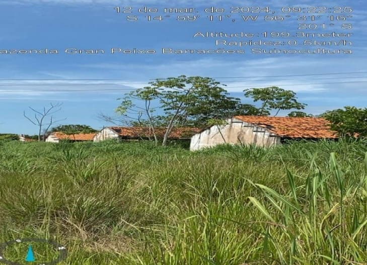Foto 10 de 20: Area Rural em leilão em Rosário Oeste - MT — Fazenda, 148,93 Hectares, Raizama, Rosário Oeste/MT