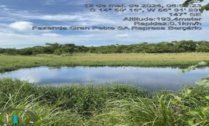 Foto 14 de 20: Area Rural em leilão em Rosário Oeste - MT — Fazenda, 148,93 Hectares, Raizama, Rosário Oeste/MT