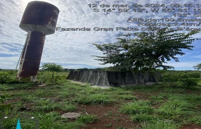 Foto 20 de 20: Area Rural em leilão em Rosário Oeste - MT — Fazenda, 148,93 Hectares, Raizama, Rosário Oeste/MT