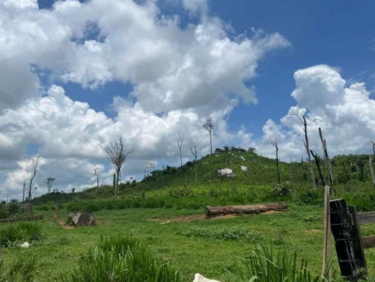 Foto 4 de 5: Area Rural em leilão em Nova Monte Verde - MT — Imóvel Rural, 122,55 Hectares, Fazenda Buriti, Nova Monte Verde/MT