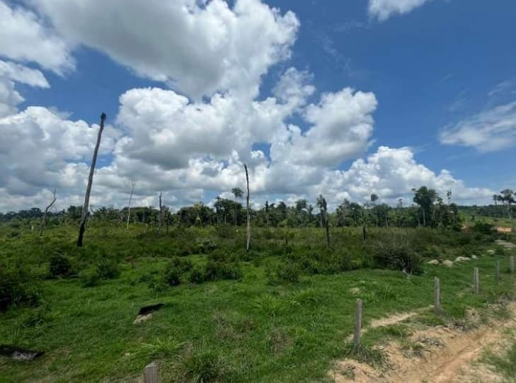 Foto 2 de 5: Area Rural em leilão em Nova Monte Verde - MT — Imóvel Rural, 122,55 Hectares, Fazenda Buriti, Nova Monte Verde/MT