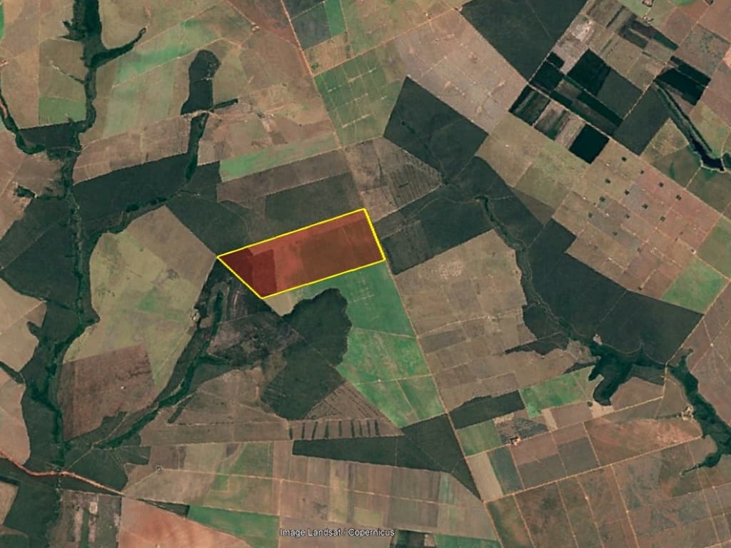 Foto 3 de 9: Area Rural em leilão em Campo Verde - MT — Fazenda, CULTIVO E PASTO, 555,15 Hectares, Soja, Milho e Algodão, Campo Verde/MT