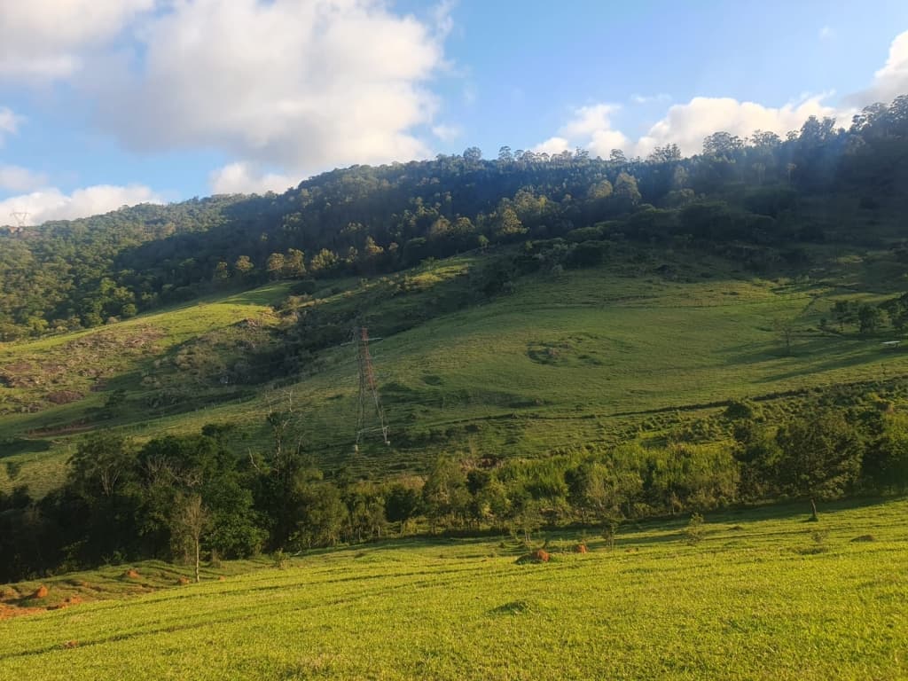 Foto 2 de 5: Area Rural em leilão em Bragança Paulista - SP — Gleba rural com 25,65 hectares + 38,59% Gleba 4 (área de reserva legal), Fazenda Morro Verde, Bragança Paulista/SP