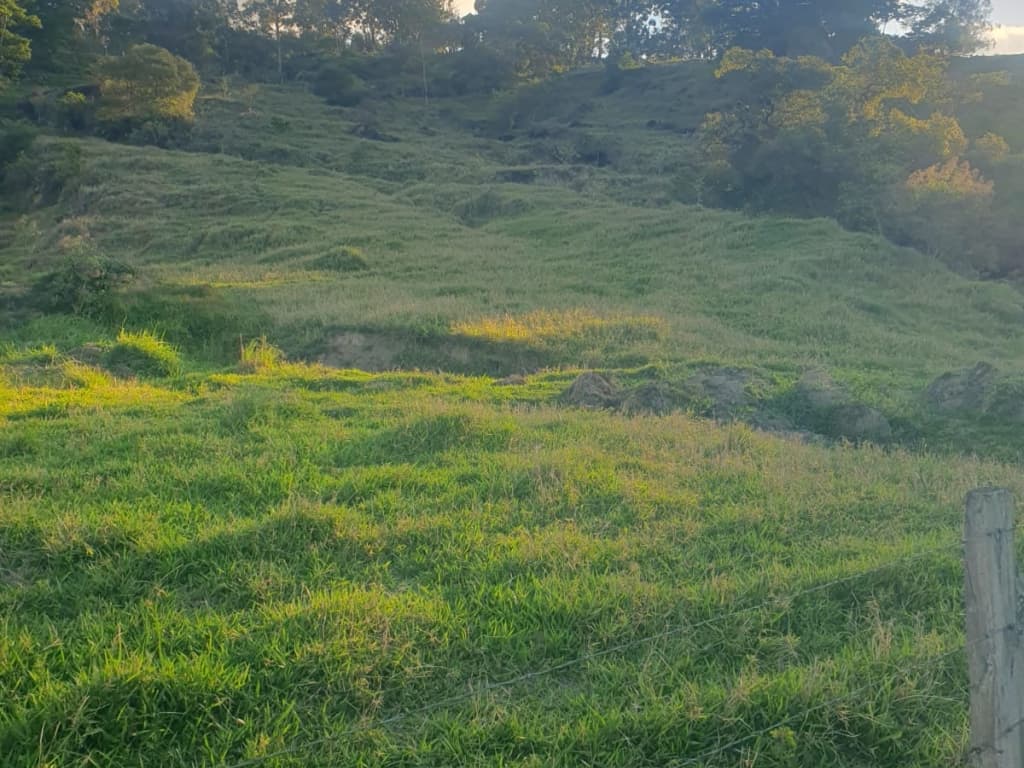 Foto 5 de 5: Area Rural em leilão em Bragança Paulista - SP — Gleba rural com 25,65 hectares + 38,59% Gleba 4 (área de reserva legal), Fazenda Morro Verde, Bragança Paulista/SP