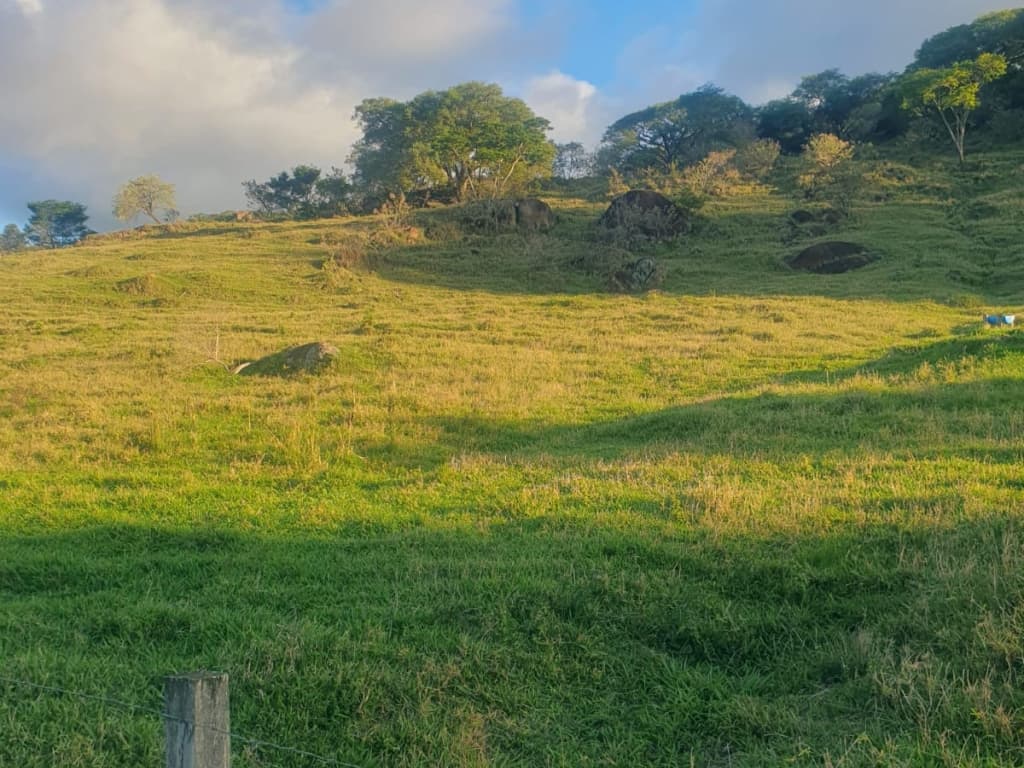 Foto 4 de 5: Area Rural em leilão em Bragança Paulista - SP — Gleba rural com 25,65 hectares + 38,59% Gleba 4 (área de reserva legal), Fazenda Morro Verde, Bragança Paulista/SP
