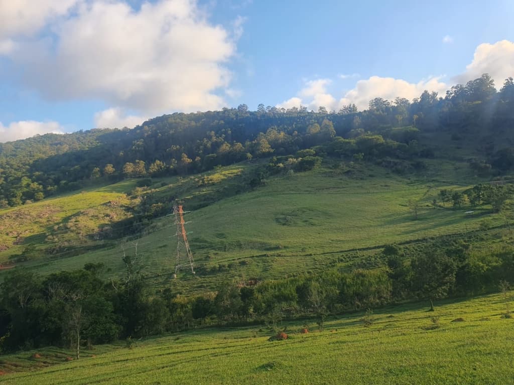 Foto 3 de 5: Area Rural em leilão em Bragança Paulista - SP — Gleba rural com 25,65 hectares + 38,59% Gleba 4 (área de reserva legal), Fazenda Morro Verde, Bragança Paulista/SP