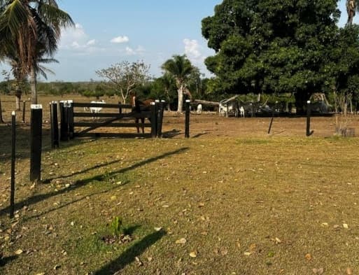 Foto 9 de 20: Area Rural em leilão em São José Dos Quatro Marcos - MT — Imóvel Rural, Casa de Alvenaria, 56,87 has, Estância Aládia, São José Dos Quatro Marcos/MT