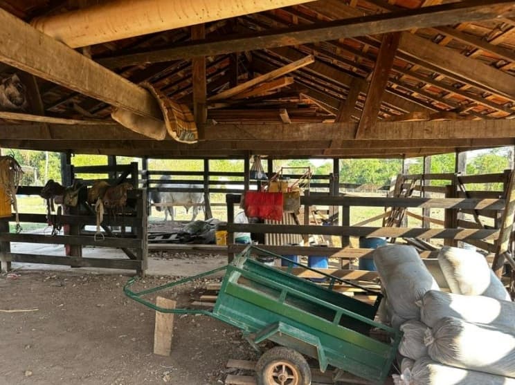 Foto 11 de 20: Area Rural em leilão em São José Dos Quatro Marcos - MT — Imóvel Rural, Casa de Alvenaria, 56,87 has, Estância Aládia, São José Dos Quatro Marcos/MT