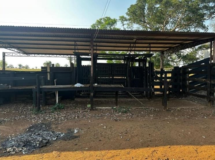 Foto 12 de 20: Area Rural em leilão em São José Dos Quatro Marcos - MT — Imóvel Rural, Casa de Alvenaria, 56,87 has, Estância Aládia, São José Dos Quatro Marcos/MT