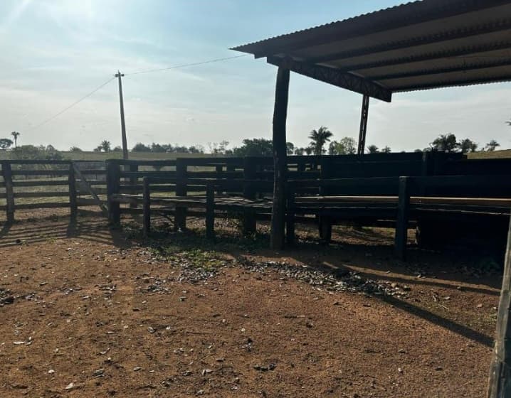 Foto 13 de 20: Area Rural em leilão em São José Dos Quatro Marcos - MT — Imóvel Rural, Casa de Alvenaria, 56,87 has, Estância Aládia, São José Dos Quatro Marcos/MT