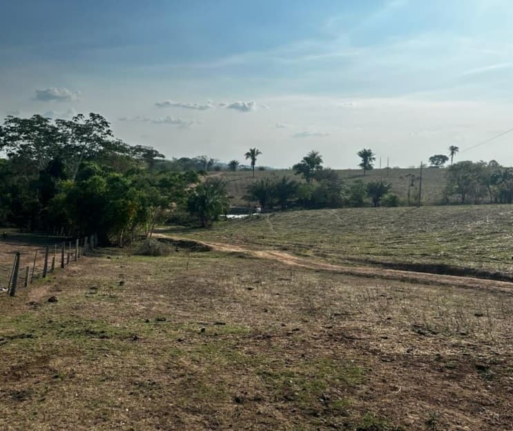 Foto 19 de 20: Area Rural em leilão em São José Dos Quatro Marcos - MT — Imóvel Rural, Casa de Alvenaria, 56,87 has, Estância Aládia, São José Dos Quatro Marcos/MT