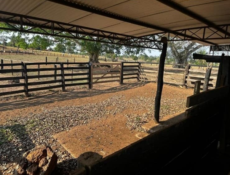 Foto 14 de 20: Area Rural em leilão em São José Dos Quatro Marcos - MT — Imóvel Rural, Casa de Alvenaria, 56,87 has, Estância Aládia, São José Dos Quatro Marcos/MT