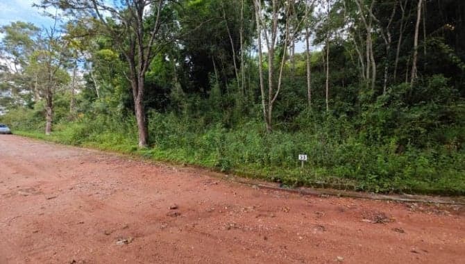 Area Rural em leilão em São Roque - SP — Área com 1.500 m² (Lote 53) no Condomínio Sítio das Hortênsias - São Roque - SP