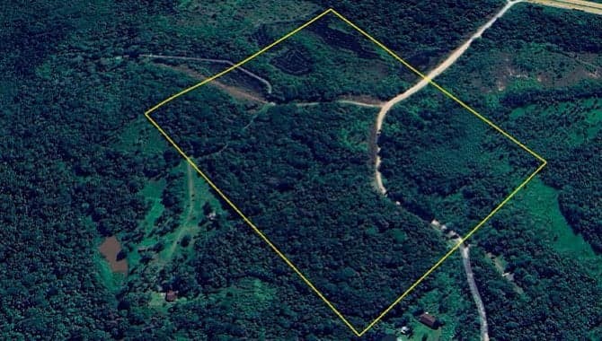 Area Rural em leilão em Paranaguá - PR — Imóvel Rural 19 ha (Lts. 52 e 53) - Paranaguá - PR