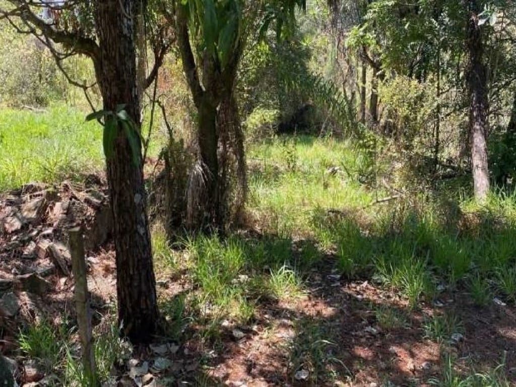 Foto 5 de 5: Terreno em leilão em Sorocaba - SP — Área 6.215 m² - Jardim Santa Fé - Sorocaba - SP