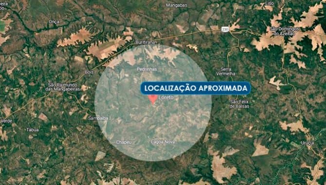 Foto 1 de 2: Area Rural em leilão em Loreto - MA — Imóvel Rural com 190 ha - Loreto - MA
