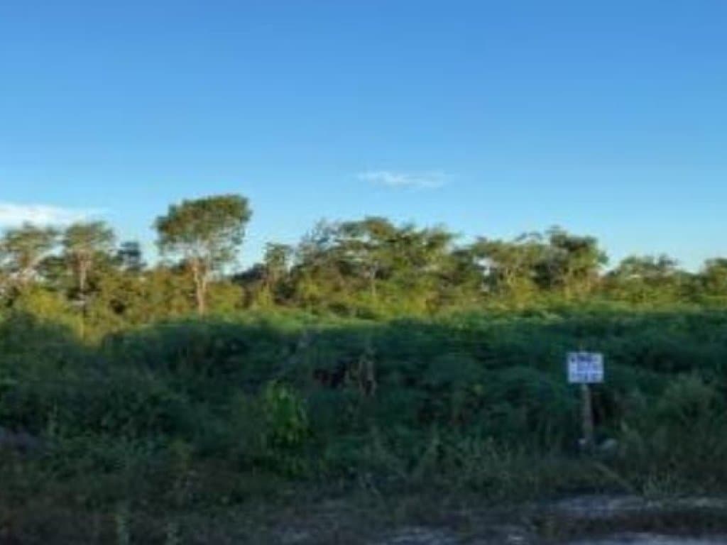 Foto 3 de 3: Terreno em leilão em Chapadinha - MA — Terreno - Chapadinha-MA - Av. Principal - Lt. 15 da Qd. 20 - Parque Moisés Amorim