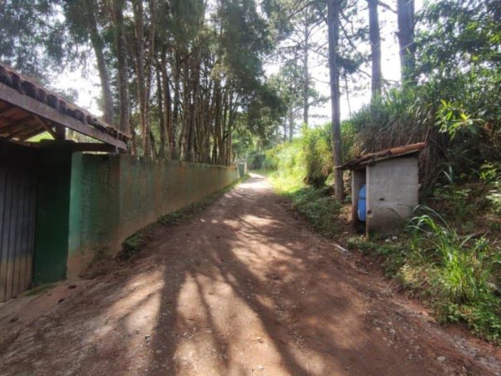 Foto 4 de 5: Casa em leilão em Embu Das Artes - SP — Área com 4.258 m² - Chácaras São Cristóvão - Embu das Artes - SP