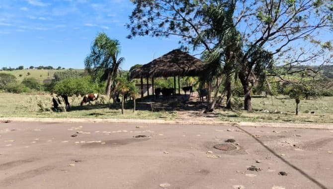 Foto 6 de 12: Terreno em leilão em Pérola - PR — Lote, Padrão, 0 Vaga(S) de Garagem