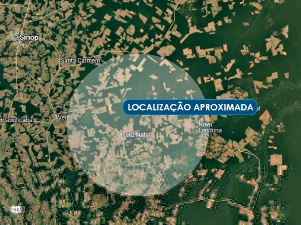 Foto 2 de 2: Area Rural em leilão em Feliz Natal - MT — Imóvel Rural 298 ha - Feliz Natal - MT