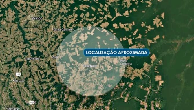Foto 1 de 2: Area Rural em leilão em Feliz Natal - MT — Imóvel Rural 298 ha - Feliz Natal - MT