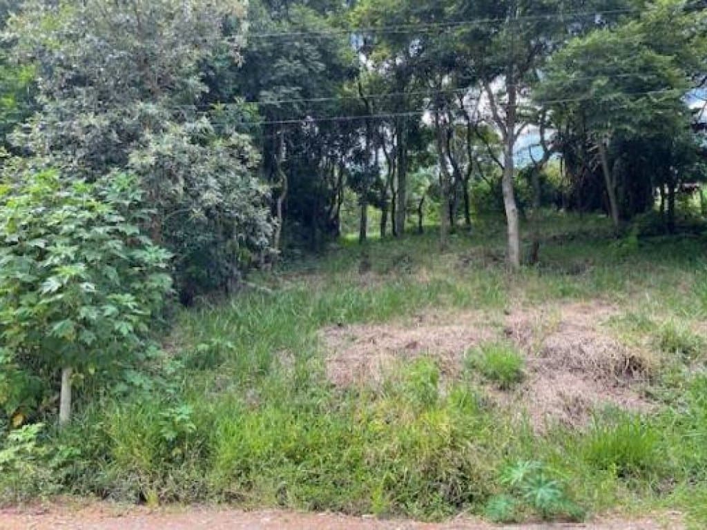 Foto 3 de 6: Terreno em leilão em Bragança Paulista - SP — Área com 1.680 m² - Jardim Caetê - Bragança Paulista - SP
