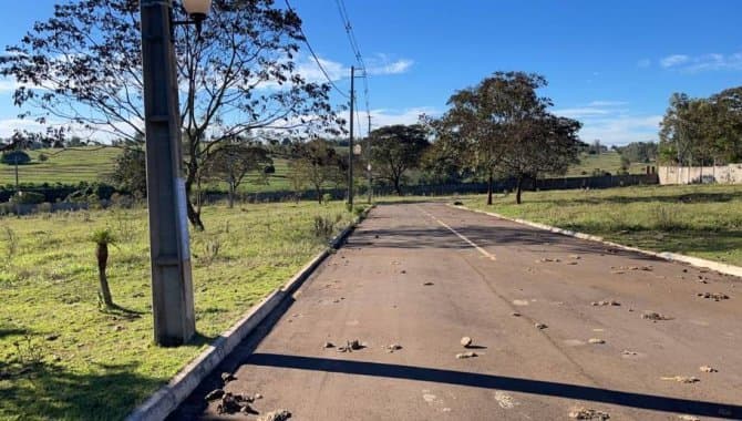 Foto 20 de 22: Terreno em leilão em Pérola - PR — Lote, Padrão, 0 Vaga(S) de Garagem