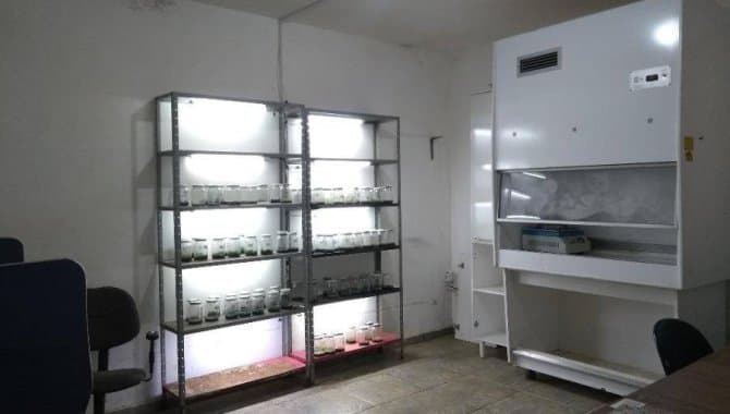 Foto 12 de 67: Casa em leilão em Guaiçara - SP — Casa, Padrão, 2 Vaga(S) de Garagem
