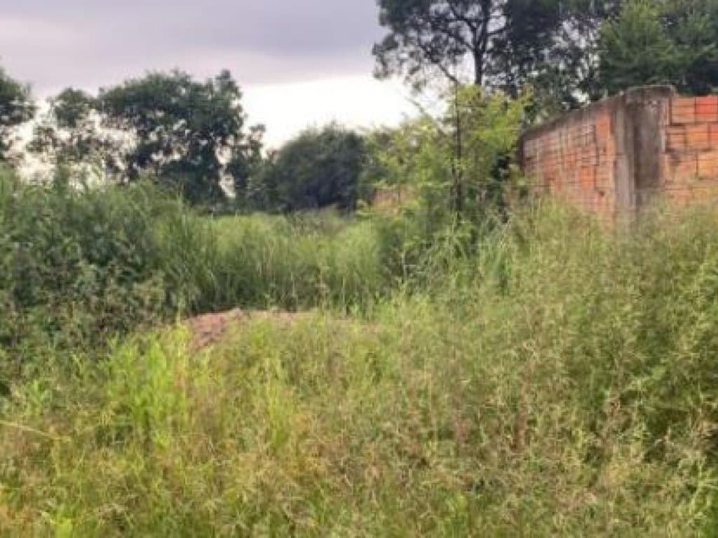 Foto 3 de 3: Terreno em leilão em Barreiras - BA — Área com 1.440 m² - Morada Nobre - Barreiras - BA