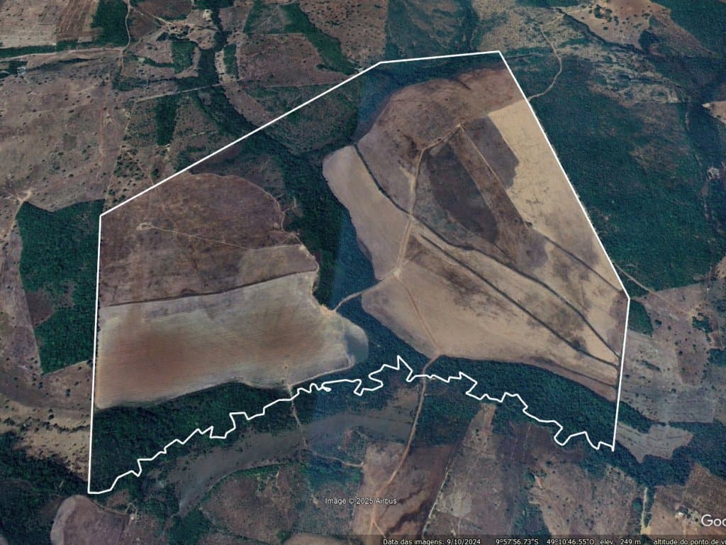 Foto 2 de 5: Area Rural em leilão em Monte Santo Do Tocantins - TO — Imóvel Rural 332 ha - Fazenda Progresso - Monte Santo do Tocantins - TO