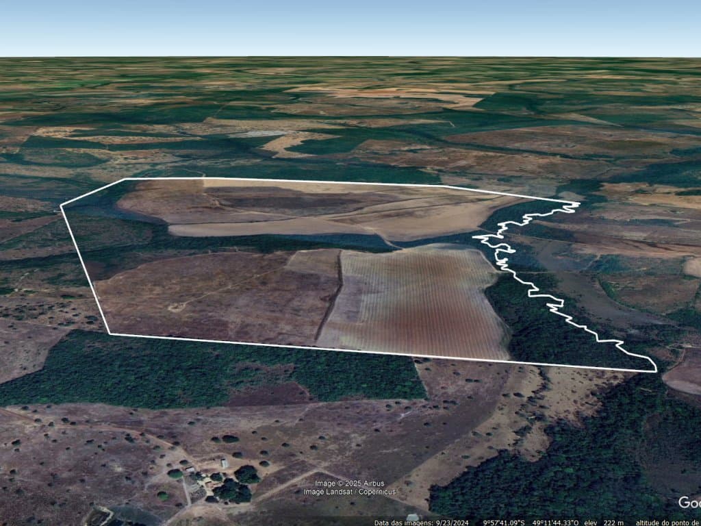 Foto 4 de 5: Area Rural em leilão em Monte Santo Do Tocantins - TO — Imóvel Rural 332 ha - Fazenda Progresso - Monte Santo do Tocantins - TO