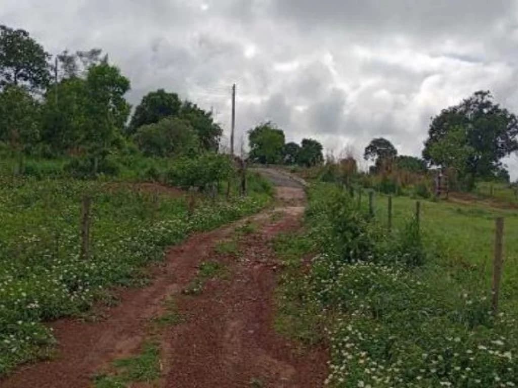 Foto 3 de 5: Area Rural em leilão em Aruanã - GO — Área Rural 27 ha - Aruanã-GO - Chácara Marambaia - Zona Rural