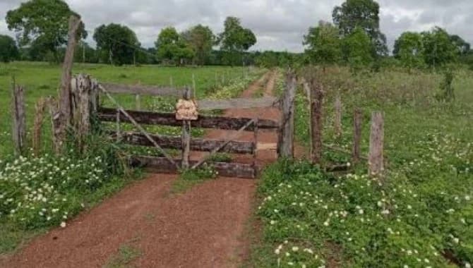 Foto 1 de 5: Area Rural em leilão em Aruanã - GO — Área Rural 27 ha - Aruanã-GO - Chácara Marambaia - Zona Rural