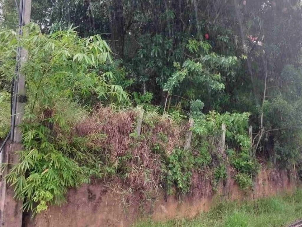 Foto 7 de 7: Casa em leilão em Serra Negra - SP — Casa em Área de 1.070 m² - Três Barras - Serra Negra - SP