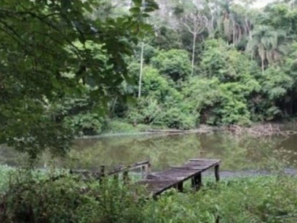 Foto 7 de 17: Area Rural em leilão em São Roque - SP — Sítio com 70.097 m² (área total) e 850 m² (área construída) - Saboó - São Roque - SP