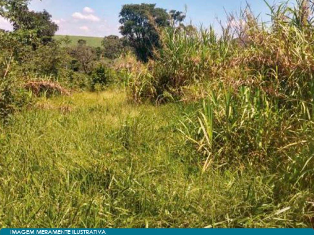 Foto 10 de 10: Terreno em leilão em Indaiatuba - SP — Área em Condomínio 5.063 m² - Parque da Grama - Indaiatuba - SP
