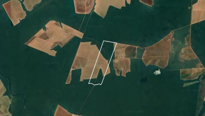 Foto 2 de 3: Area Rural em leilão em Nova Maringá - MT — Imóvel Rural 568 ha - Nova Maringá - MT