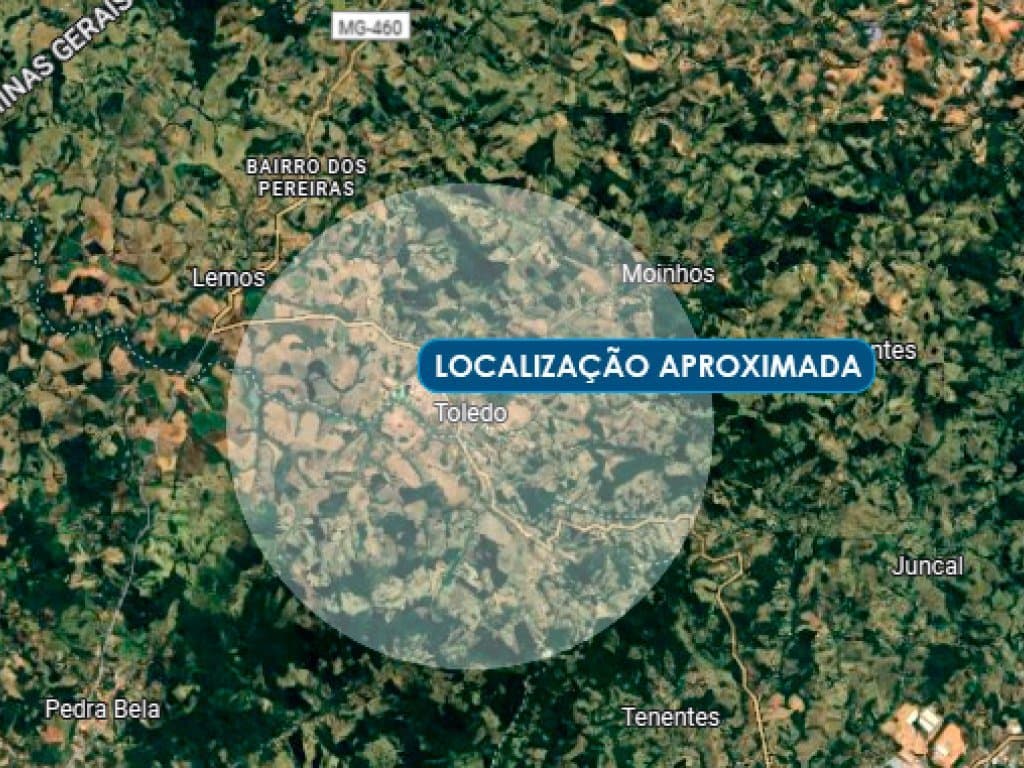 Foto 2 de 2: Terreno em leilão em Toledo - MG — Área 5 ha - Tamanduá - Toledo - MG